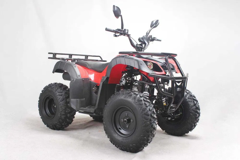 ATV Full Options 200cc Jante 10 inch Cutie Automata - imagine 8