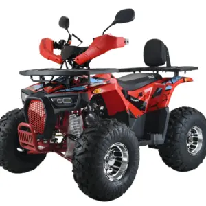 ATV XTL Wild 125cc