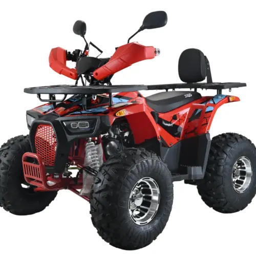 ATV XTL Wild 125cc – ATV automat copii si adolescenti (cu marsarier)