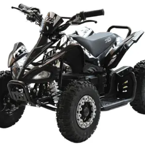 ATV electric