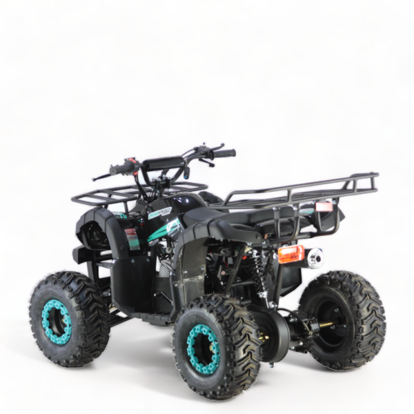 Atv copii 125cc 3