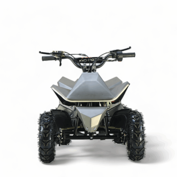 Mini ATV Electric pentru Copii7
