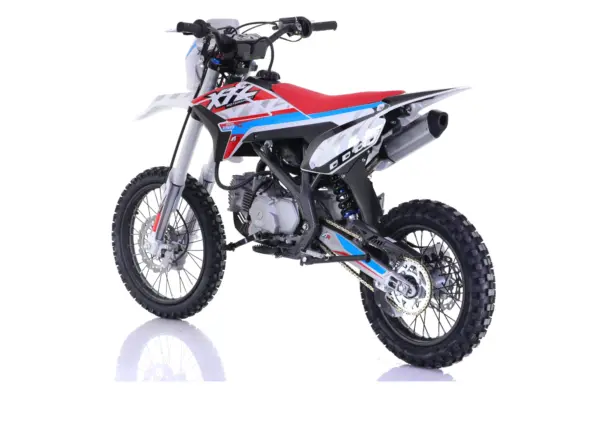 Motocross XTL Thunder 150cc4