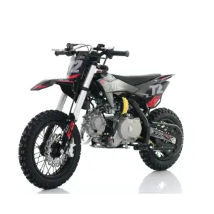Motocross XTL Thunder 70cc – Dirtbike Automat 2