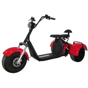 Scuter Electric 3 Roti de 8" 1500W 2 Persoane