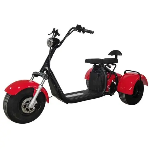 Scuter Electric 3 Roti de 8″ 1500W 2 Persoane