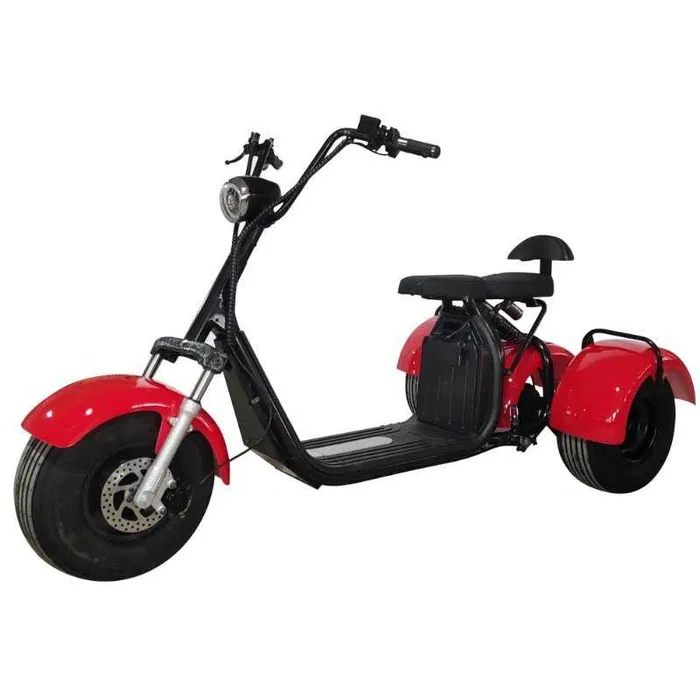 Scuter Electric 3 Roti de 8" 1500W 2 Persoane