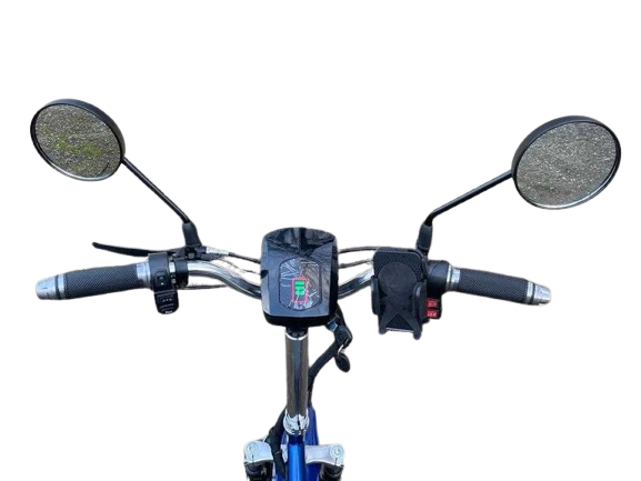Tricicleta Electrica 5