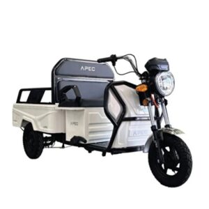Tuk Tuk Electric 1000W