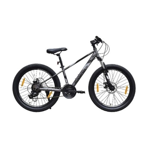 Bicicleta Cliff 24inch, CLIF24G (gri)