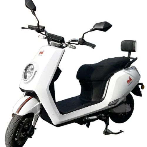 SCUTER ELECTRIC SC1200 ALB